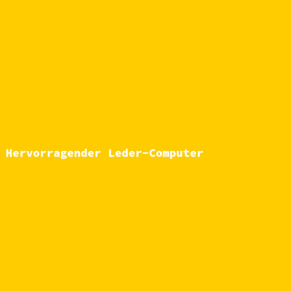 Hervorragender Leder-Computer