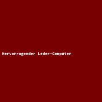 Hervorragender Leder-Computer